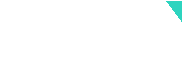 Zng Logo